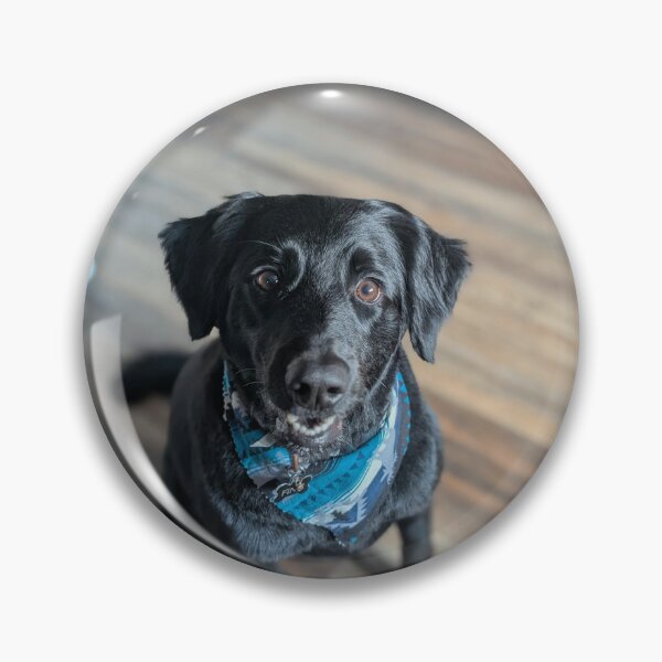 Item preview, Black Labrador Retriever with Blue Bandana designed and sold by DigiArtAnimal.