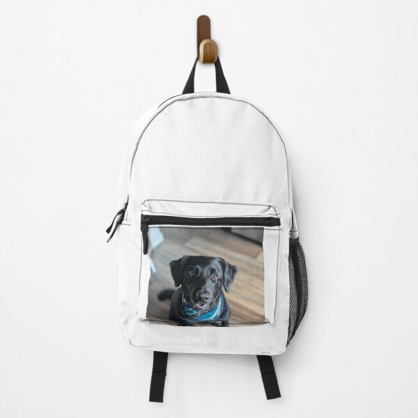 Item preview, Black Labrador Retriever with Blue Bandana designed and sold by DigiArtAnimal.