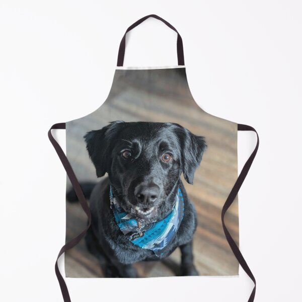 Item preview, Black Labrador Retriever with Blue Bandana designed and sold by DigiArtAnimal.