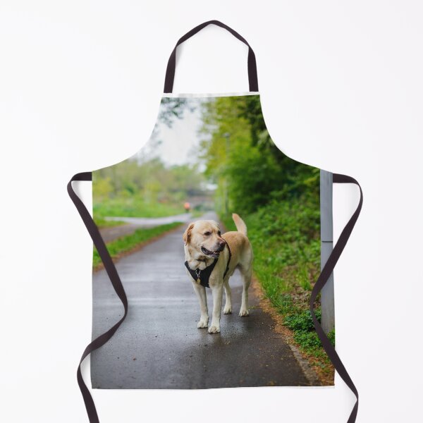 Item preview, Labrador Retriever Enjoying the Park designed and sold by DigiArtAnimal.