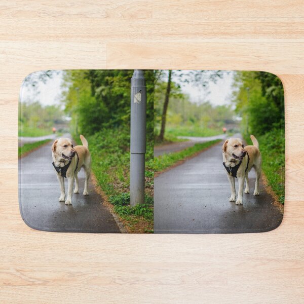 Item preview, Labrador Retriever Enjoying the Park designed and sold by DigiArtAnimal.