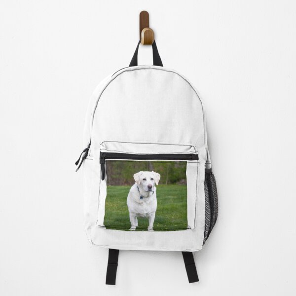 Item preview, Beautiful White Labrador Retriever designed and sold by DigiArtAnimal.