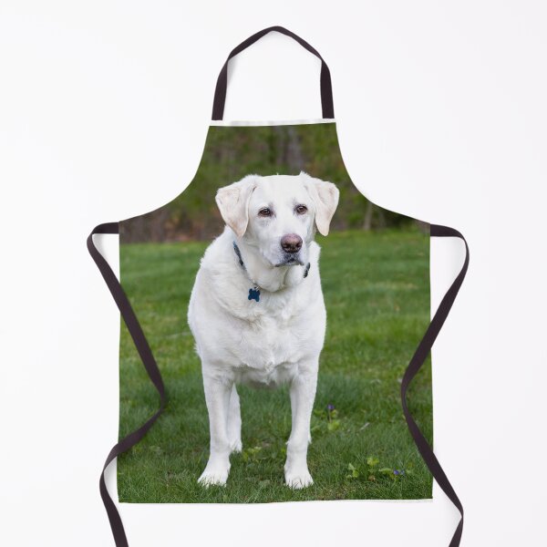 Item preview, Beautiful White Labrador Retriever designed and sold by DigiArtAnimal.