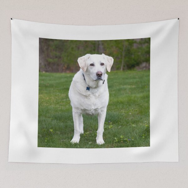 Item preview, Beautiful White Labrador Retriever designed and sold by DigiArtAnimal.