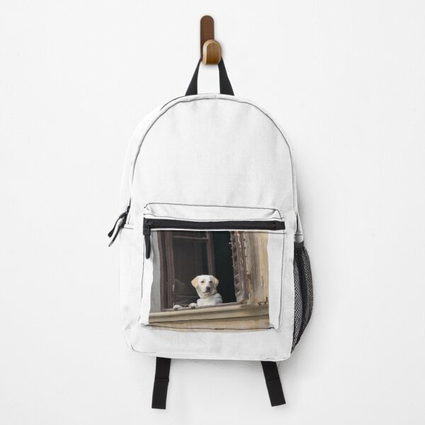 Item preview, Lovely Labrador Retriever Looking by the Window designed and sold by DigiArtAnimal.
