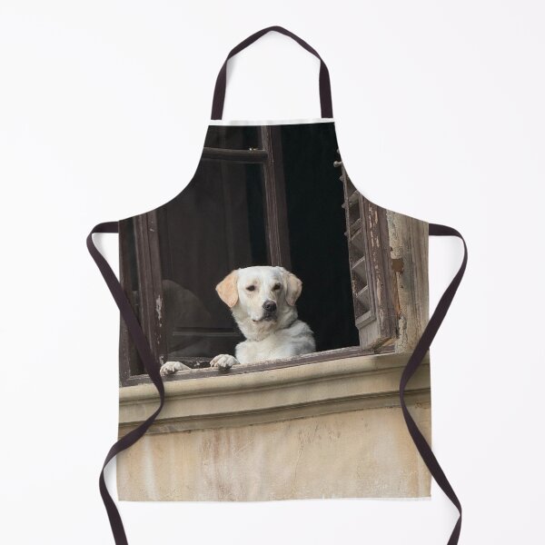 Item preview, Lovely Labrador Retriever Looking by the Window designed and sold by DigiArtAnimal.