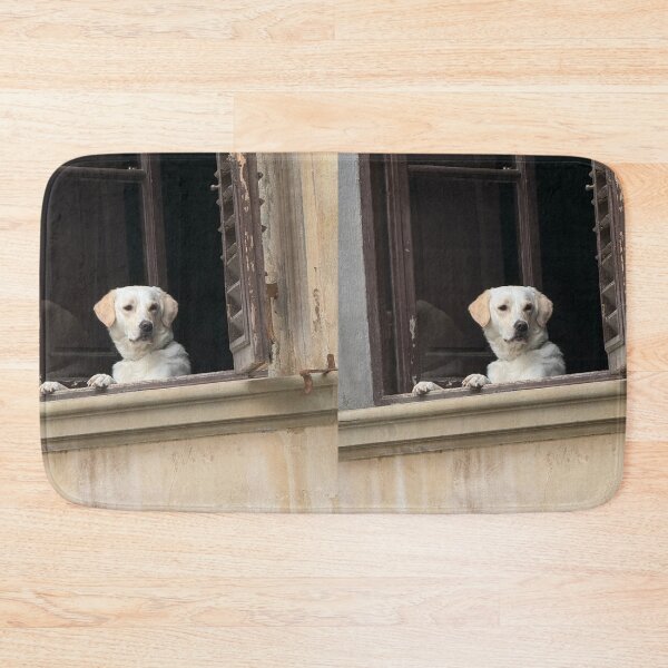 Item preview, Lovely Labrador Retriever Looking by the Window designed and sold by DigiArtAnimal.