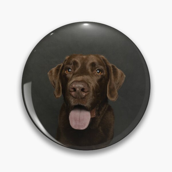 Item preview, Charming Choco Labrador Retriever designed and sold by DigiArtAnimal.