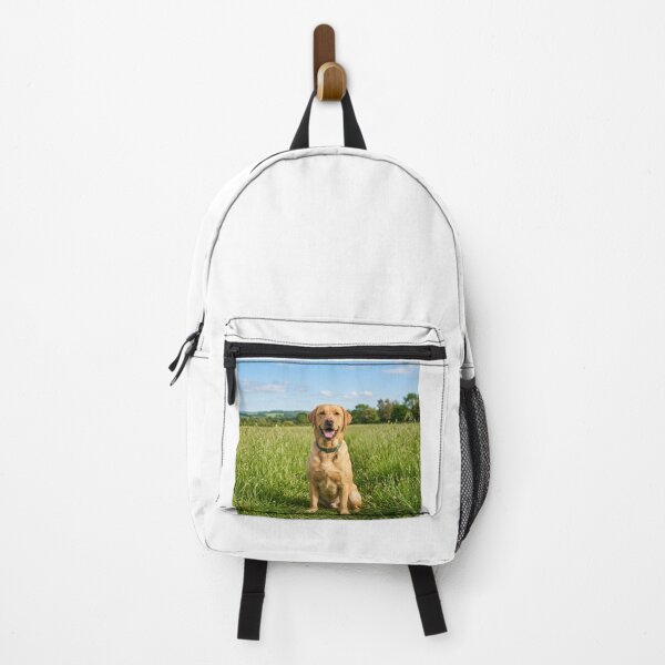 Item preview, Labrador Retriever Loves Sitting on Green Grass designed and sold by DigiArtAnimal.