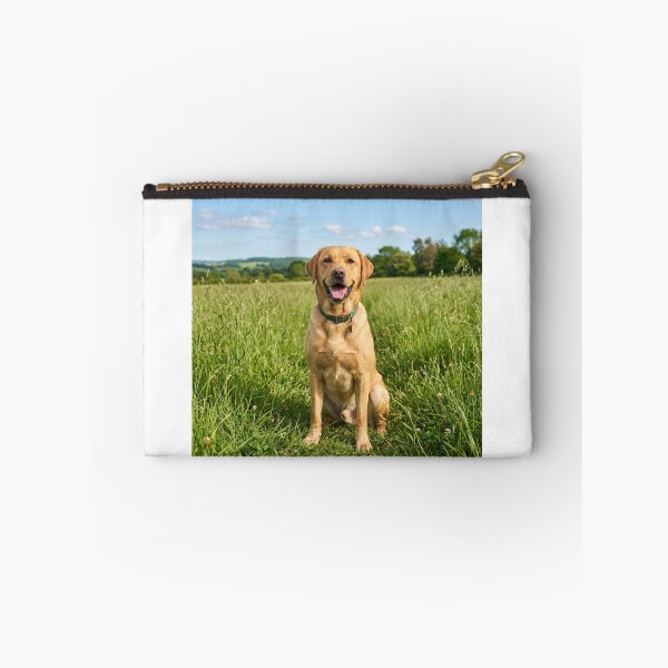 Item preview, Labrador Retriever Loves Sitting on Green Grass designed and sold by DigiArtAnimal.