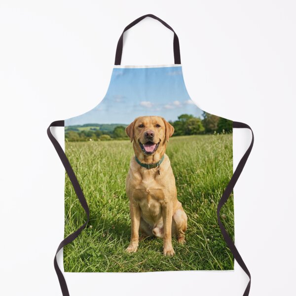 Item preview, Labrador Retriever Loves Sitting on Green Grass designed and sold by DigiArtAnimal.