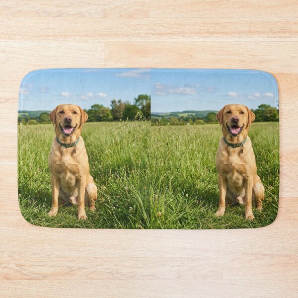 Item preview, Labrador Retriever Loves Sitting on Green Grass designed and sold by DigiArtAnimal.
