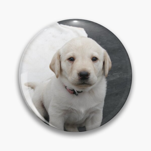 Item preview, Cute Labrador Retriever Pup designed and sold by DigiArtAnimal.