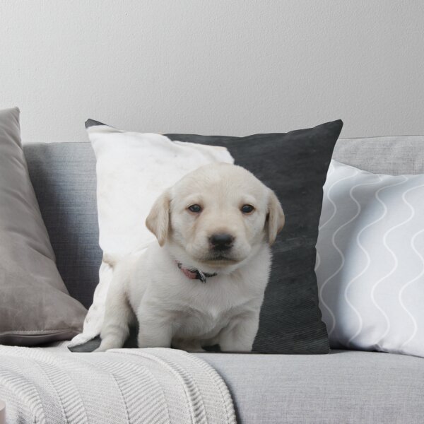 Item preview, Cute Labrador Retriever Pup designed and sold by DigiArtAnimal.