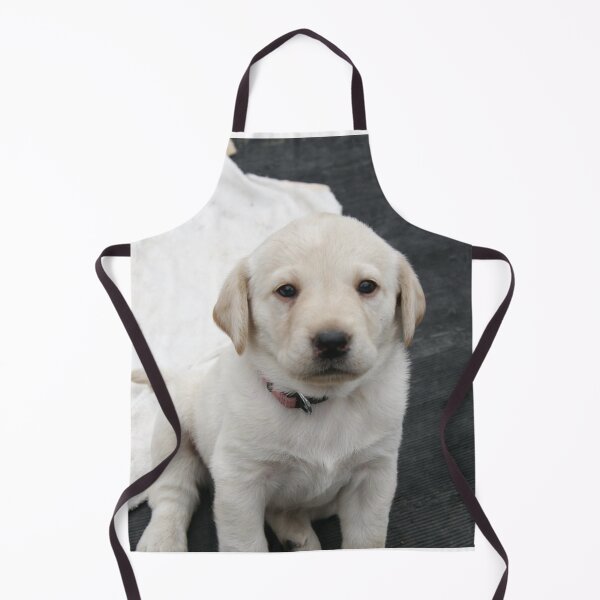 Item preview, Cute Labrador Retriever Pup designed and sold by DigiArtAnimal.