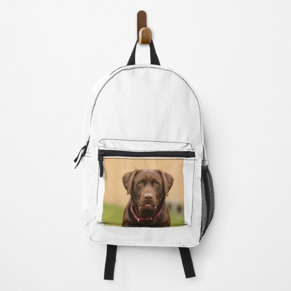 Item preview, Portait of Choco Labrador Retriever Dog designed and sold by DigiArtAnimal.