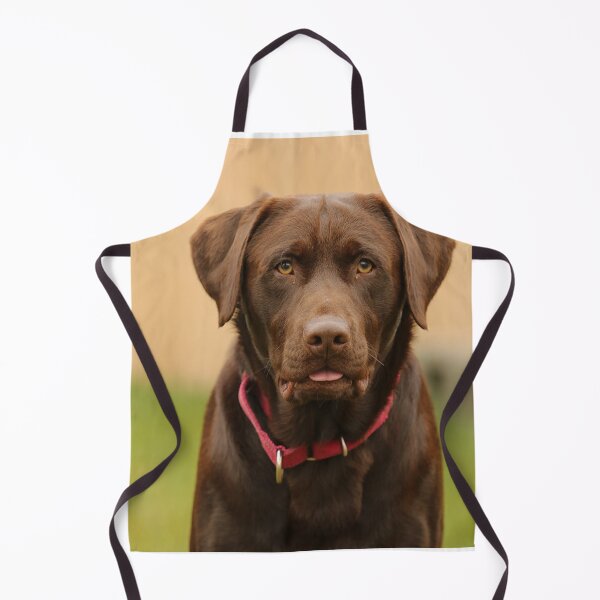 Item preview, Portait of Choco Labrador Retriever Dog designed and sold by DigiArtAnimal.