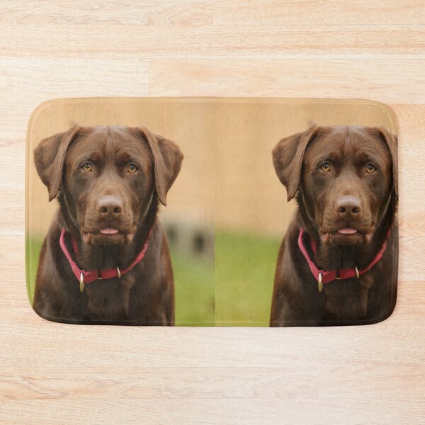 Item preview, Portait of Choco Labrador Retriever Dog designed and sold by DigiArtAnimal.