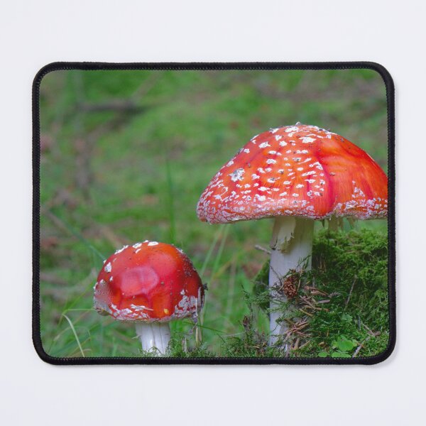 Item preview, Fly Agaric designed and sold by Thistle Images.