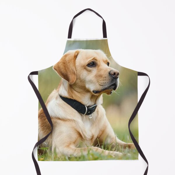 Item preview, Beautiful Labrador Retriever Dog Relaxing designed and sold by DigiArtAnimal.