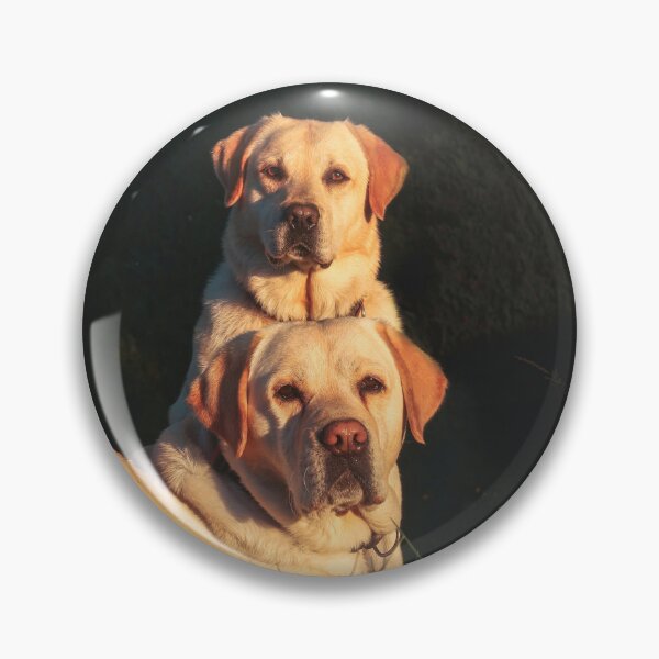 Item preview, Portrait of Two Labrador Retriever Dog designed and sold by DigiArtAnimal.