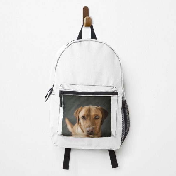 Item preview, Portrait of Attractive Labrador Retriever Dog designed and sold by DigiArtAnimal.
