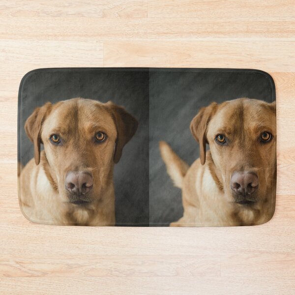 Item preview, Portrait of Attractive Labrador Retriever Dog designed and sold by DigiArtAnimal.