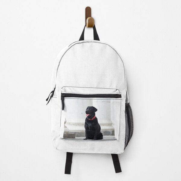 Item preview, Magnificent Shinny Labrador Retriever Dog designed and sold by DigiArtAnimal.