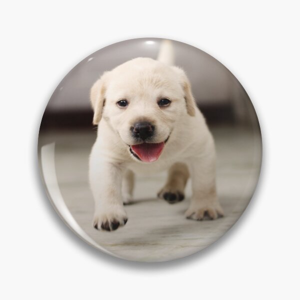 Item preview, Gorgeous Labrador Retriever Puppy designed and sold by DigiArtAnimal.