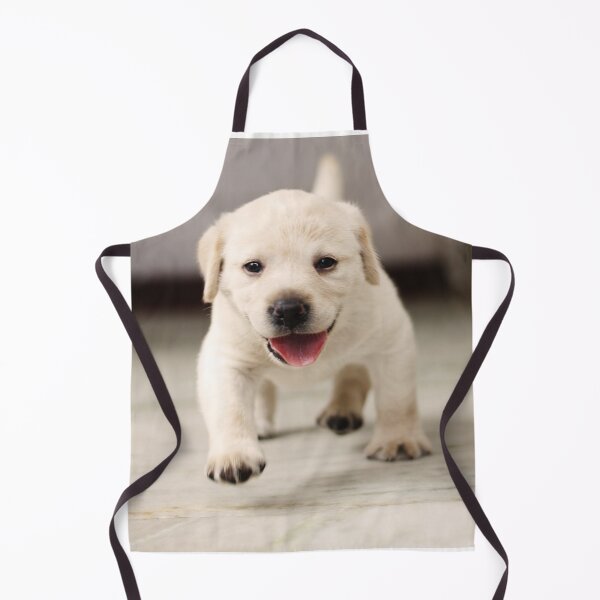 Item preview, Gorgeous Labrador Retriever Puppy designed and sold by DigiArtAnimal.