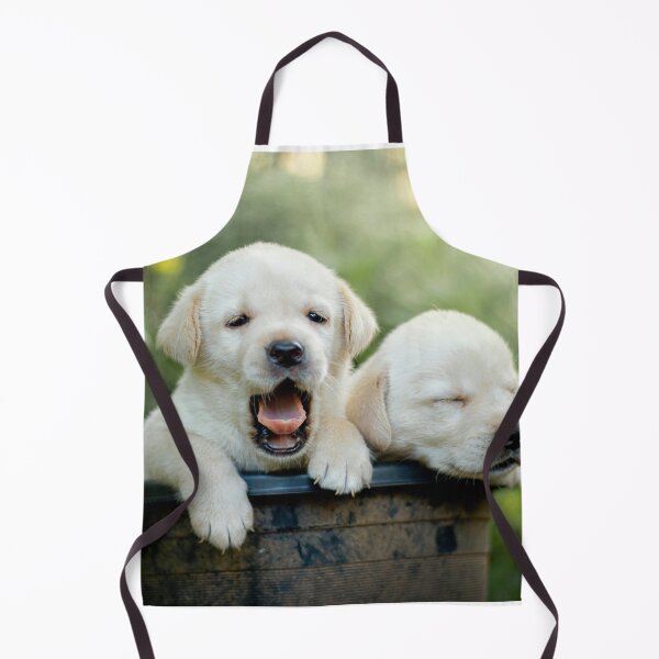 Item preview, Two Lovely Innocent Labrador Retriever Puppy designed and sold by DigiArtAnimal.