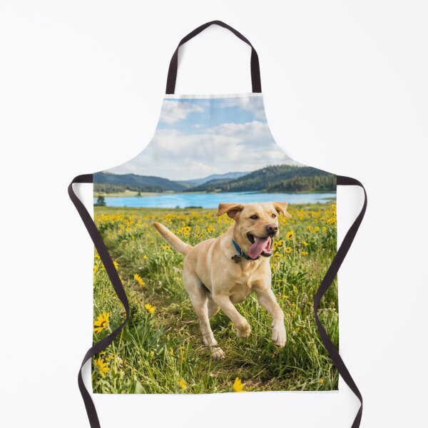 Item preview, Labrador Retriever Dog Enjoying the Green Field designed and sold by DigiArtAnimal.