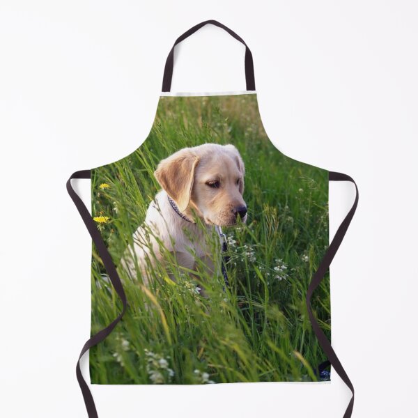 Item preview, Labrador Retriever Puppy Loves Green Grass designed and sold by DigiArtAnimal.