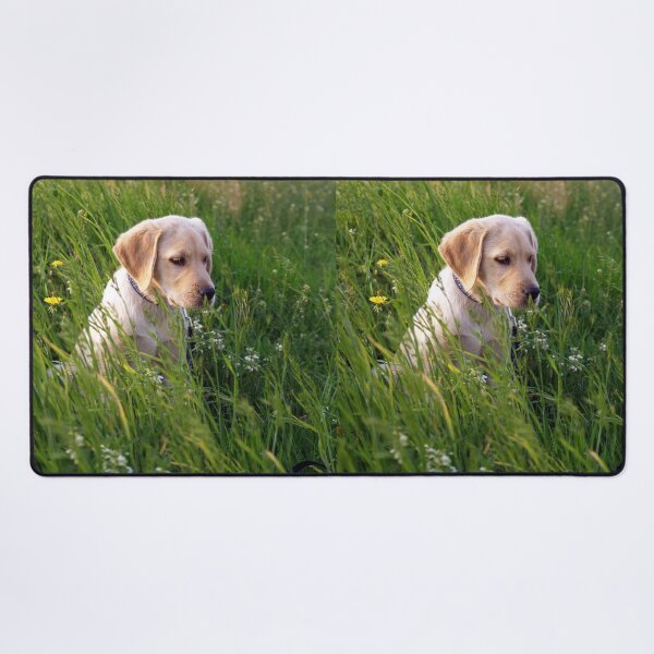 Item preview, Labrador Retriever Puppy Loves Green Grass designed and sold by DigiArtAnimal.