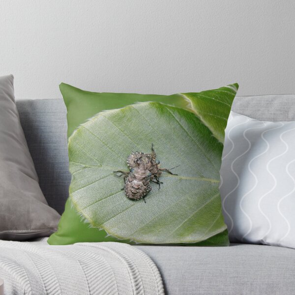 Item preview, Mating beetles designed and sold by Thistle Images.