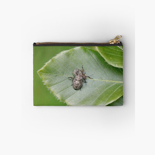 Item preview, Mating beetles designed and sold by Thistle Images.