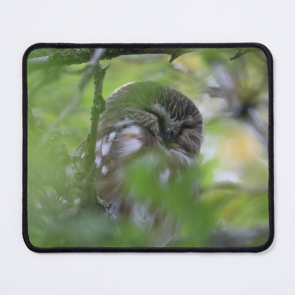 Item preview, Sleeping Northern Saw-whet Owl  designed and sold by northernflicker.