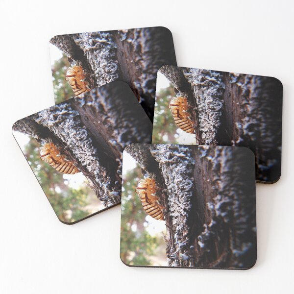 Item preview, Cicada   designed and sold by DaezieDepictions.