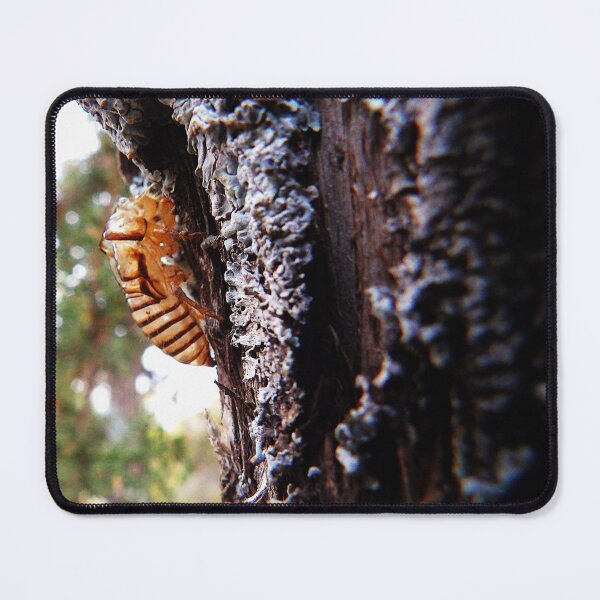 Item preview, Cicada   designed and sold by DaezieDepictions.