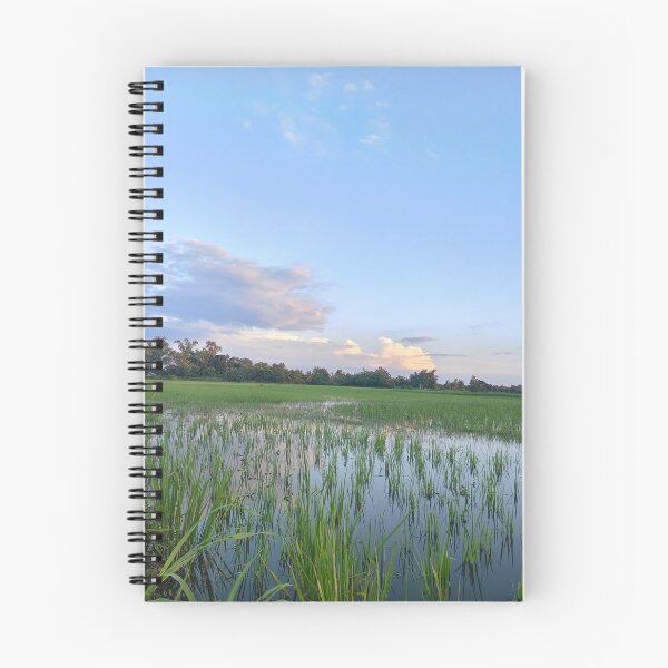 Item preview, Peaceful rice field  designed and sold by VIEWfdreams.