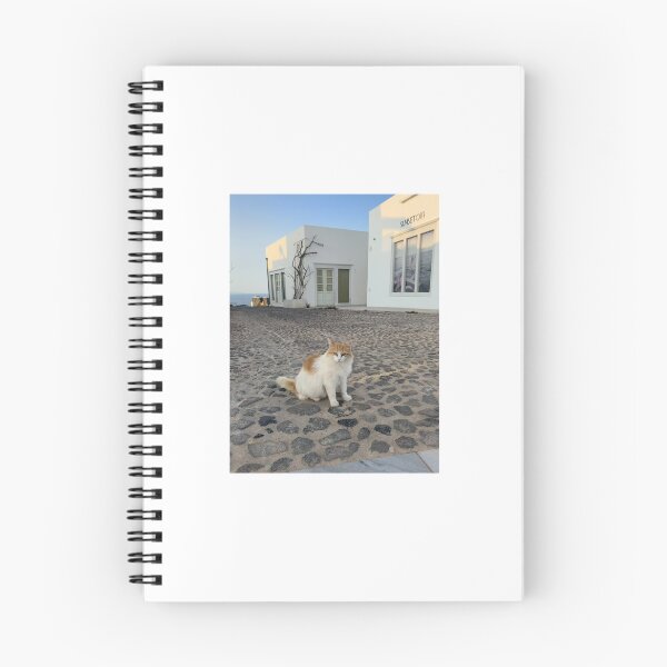 Item preview, Ginger Cat in Oia, Santorini designed and sold by framesdeviagem.