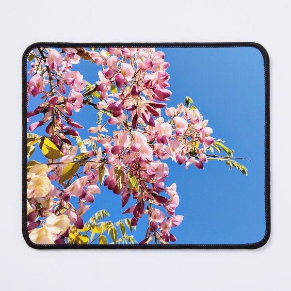 Item preview, Blossoms in the Blue designed and sold by Bee Buddy Photography.