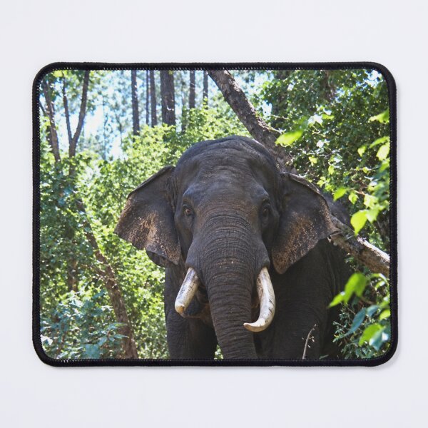 Item preview, Safari this is to close to an Elephant designed and sold by Harold122Jade.
