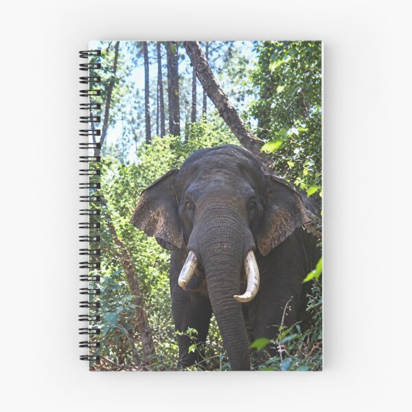 Item preview,  Safari this is to close to an Elephant designed and sold by Harold122Jade.