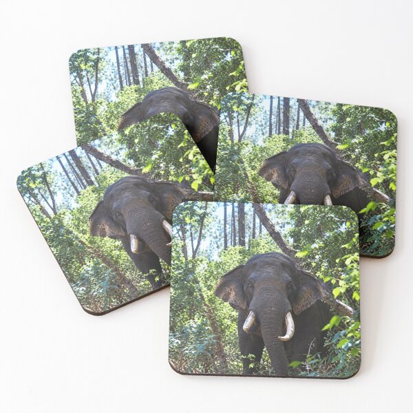 Item preview,  Safari this is to close to an Elephant designed and sold by Harold122Jade.