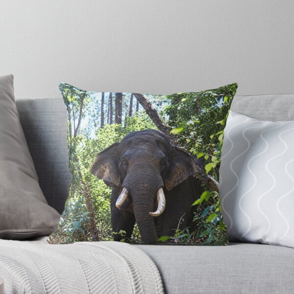 Item preview,  Safari this is to close to an Elephant designed and sold by Harold122Jade.
