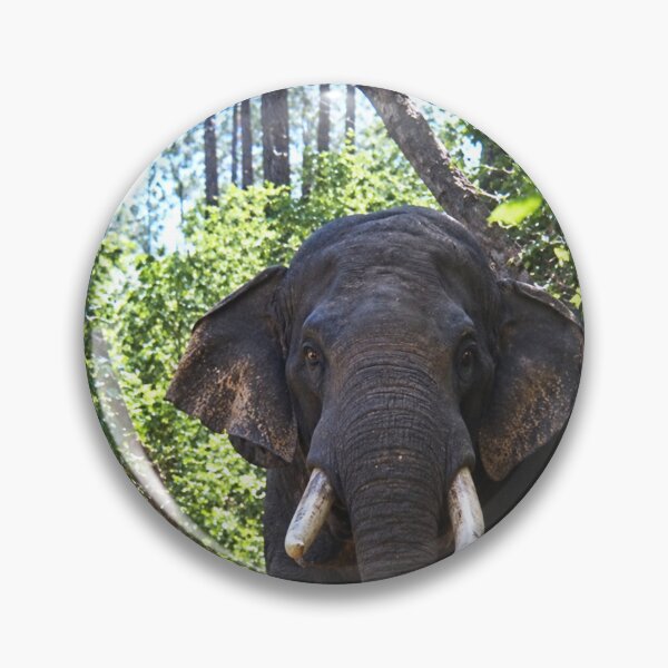 Item preview,  Safari this is to close to an Elephant designed and sold by Harold122Jade.