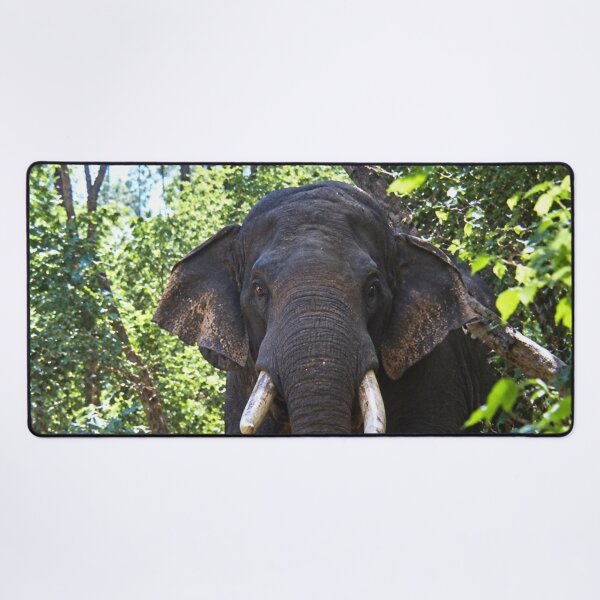 Item preview, Safari this is to close to an Elephant designed and sold by Harold122Jade.