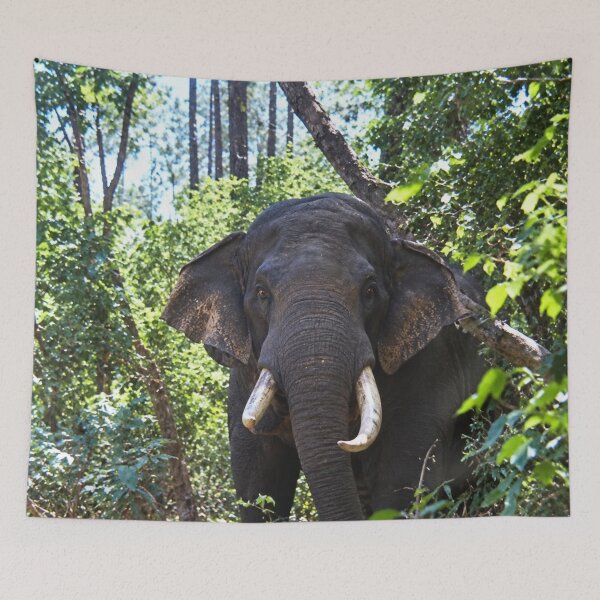 Item preview,  Safari this is to close to an Elephant designed and sold by Harold122Jade.