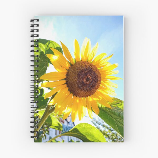 Item preview, Sunflower designed and sold by Bee Buddy Photography.